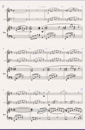 Home Reflection. For Flute, Alto Flute and Piano.