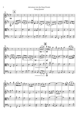 Adventure into the Deep Woods, for String Quartet