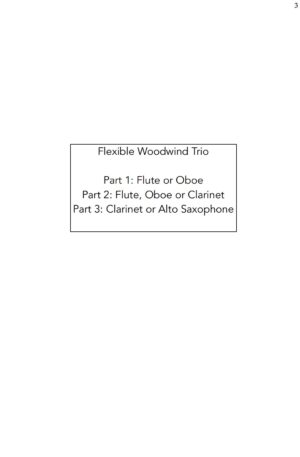 Stormwalkers | Flexible Woodwind Trio