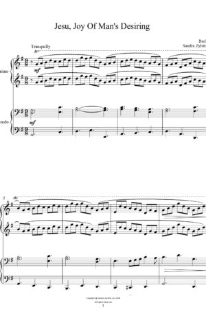 Home Classical Duets for Two (early intermediate – intermediate piano duets)