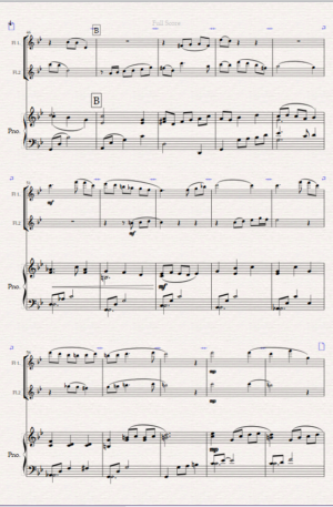 The Watermill. For Flute Duet and Piano.