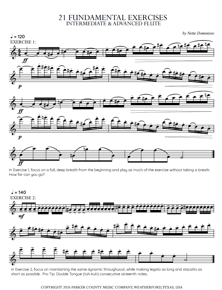 21 FUNDAMENTAL EXERCISES - for Intermediate/Advanced Flute 21 FUNDAMENTAL EXERCISES - for Intermediate/Advanced Flute - Image 2