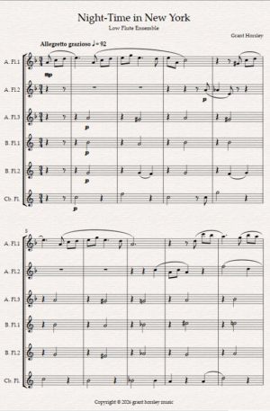 Night Time in New York. A Blue Waltz for Low Flute Ensemble.